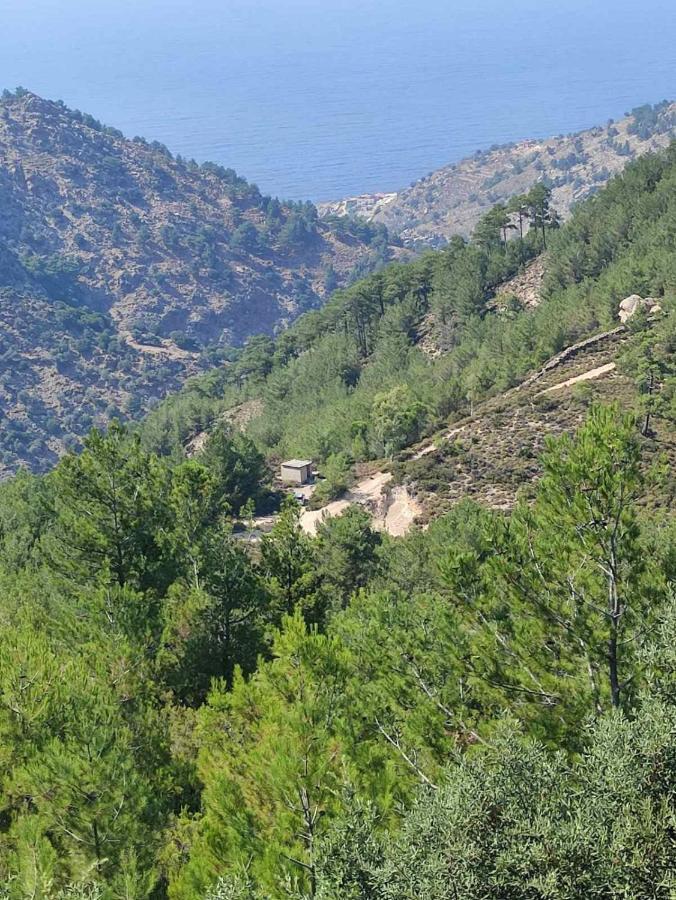 Aelio Διαμέρισμα Ράχες Εξωτερικό φωτογραφία